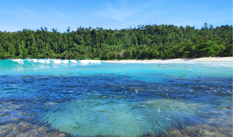 Rotuman Language Week